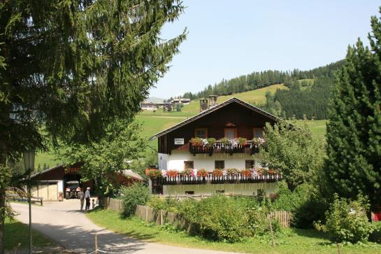 Bauernhof Draschlerhof