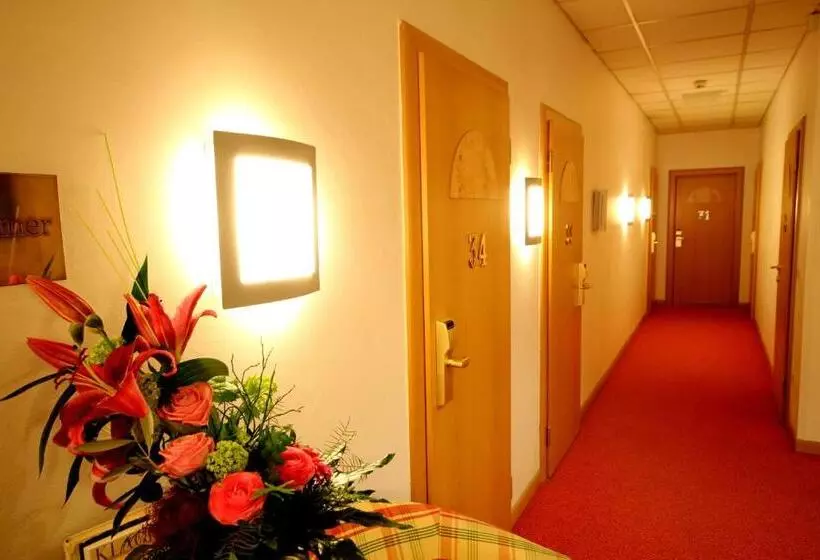 酒店 Carinthia Stadt