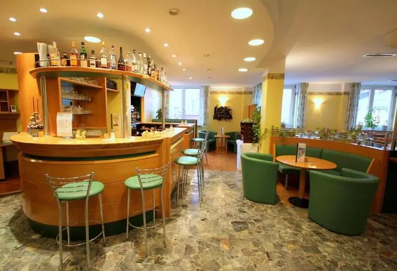 酒店 Carinthia Stadt