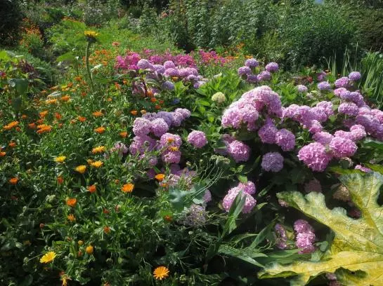 Bed and Breakfast Haus Ebner Pension