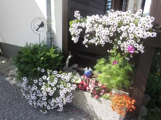 Bed and Breakfast Haus Ebner Pension