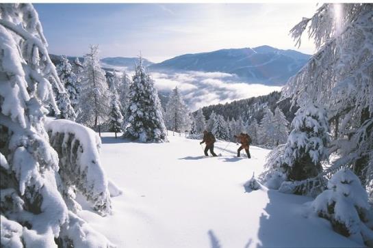 فندق Haus Markus