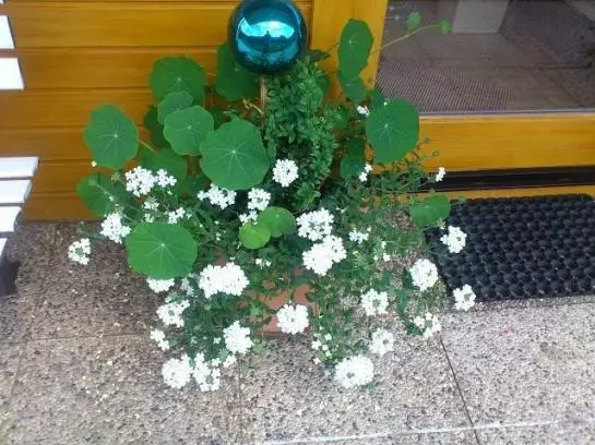 Отель Haus Markus