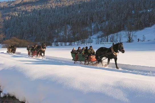 فندق Haus Markus