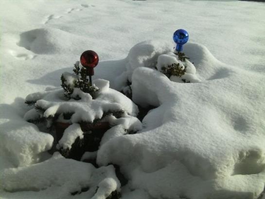 فندق Haus Markus