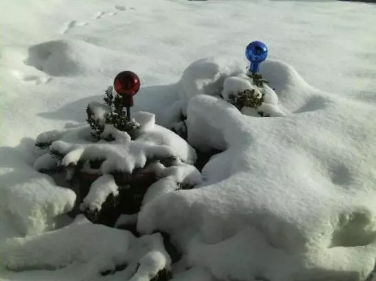 Отель Haus Markus