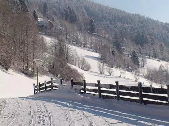 Отель Haus Markus