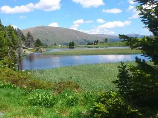 Отель Haus Markus