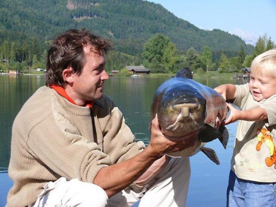 ホテル Kolbitsch Am Weissensee Ein Seeblick Der Verzaubert Inklusive Premiumcard