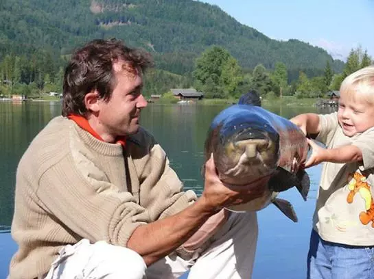 Отель Kolbitsch Am Weissensee Ein Seeblick Der Verzaubert Inklusive Premiumcard