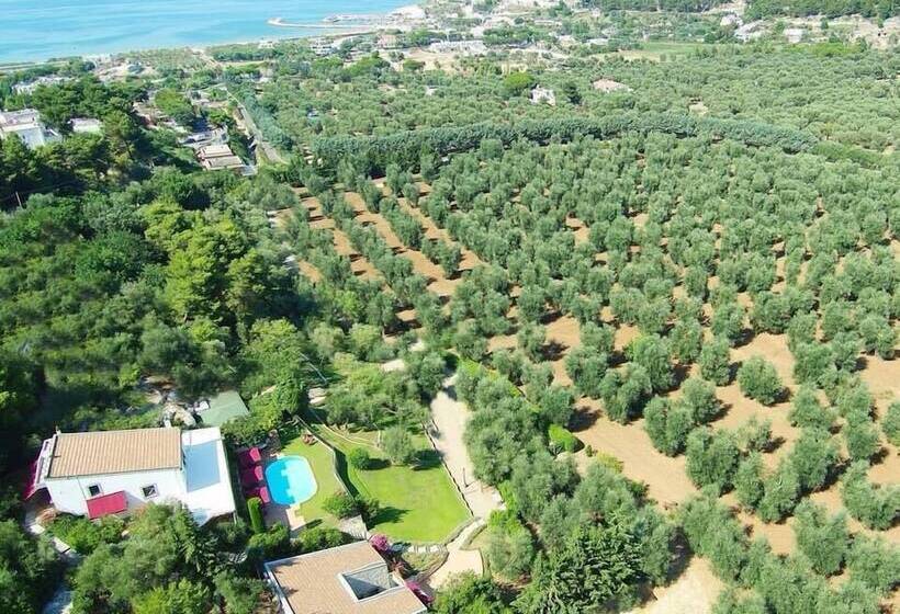 酒店 Masseria La Chiusa Delle More