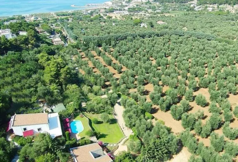 Отель Masseria La Chiusa Delle More