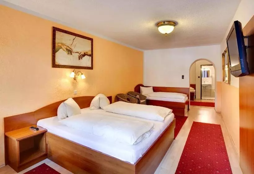 Cityhotel Schwarzer Bär Innsbruck