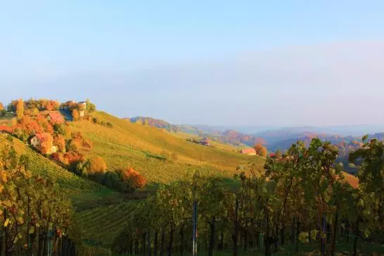 Hotel Weinland