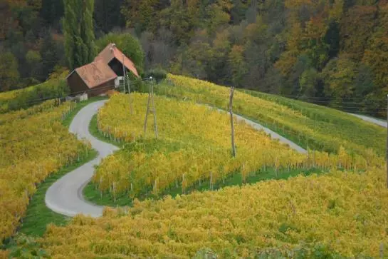 Hotel Weinland