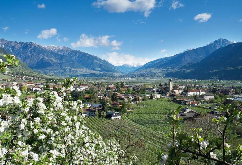 Panorama Hotel Garni Bühlerhof