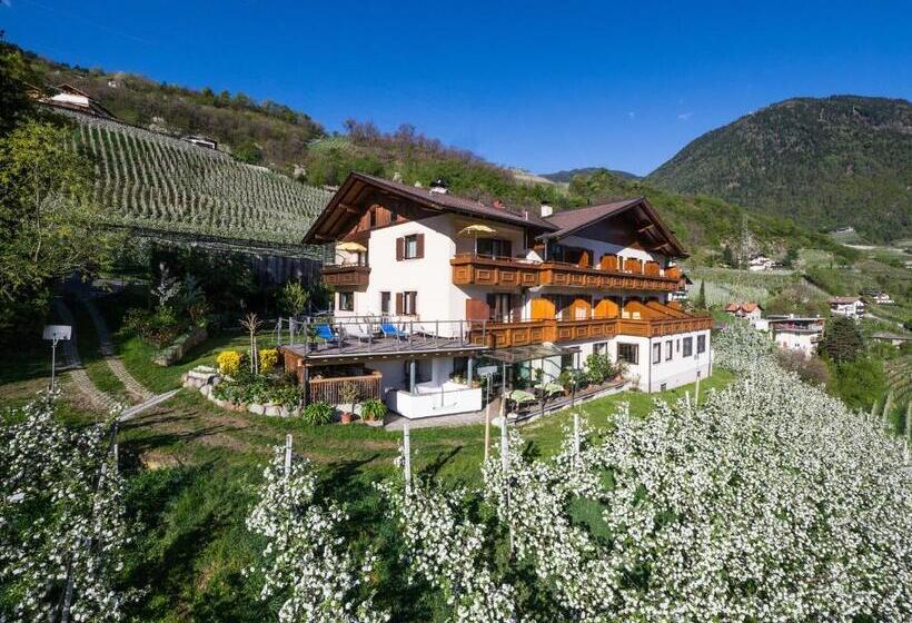 Panorama Hotel Garni Bühlerhof
