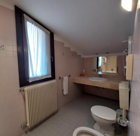 酒店 Albergo Alla Pineta