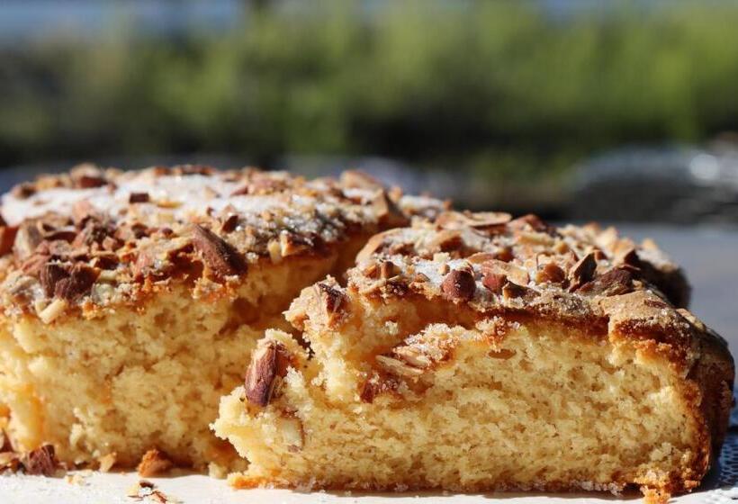 酒店 Albergo Alla Pineta