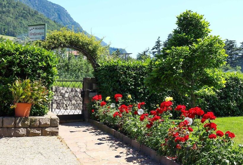 בית מלון כפרי Guesthouse Pension Grafenstein