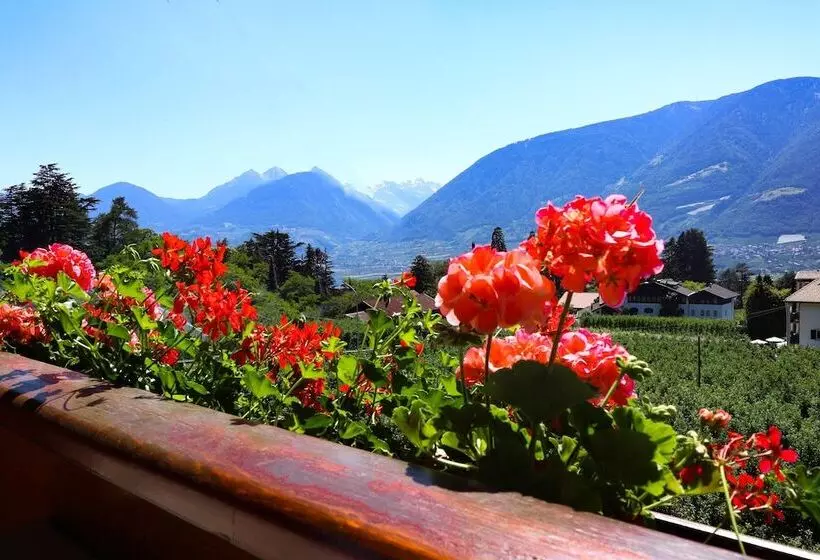 هتل Guesthouse Pension Grafenstein