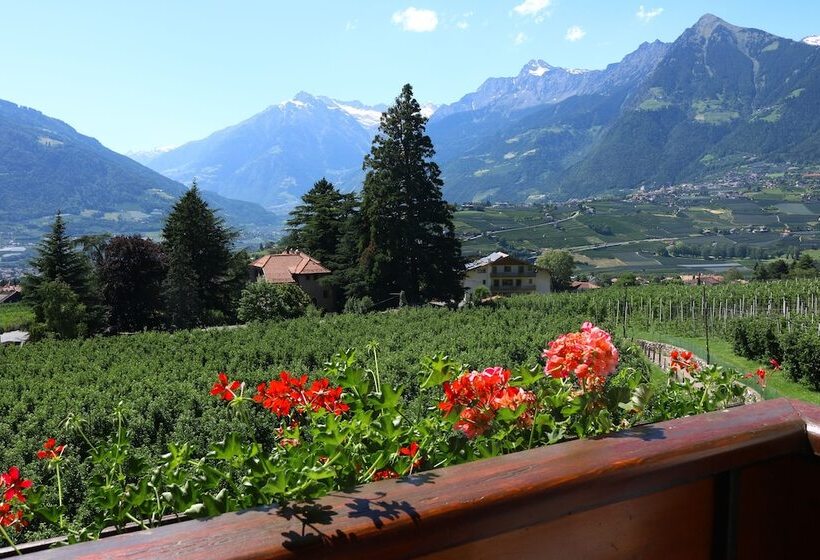 בית מלון כפרי Guesthouse Pension Grafenstein