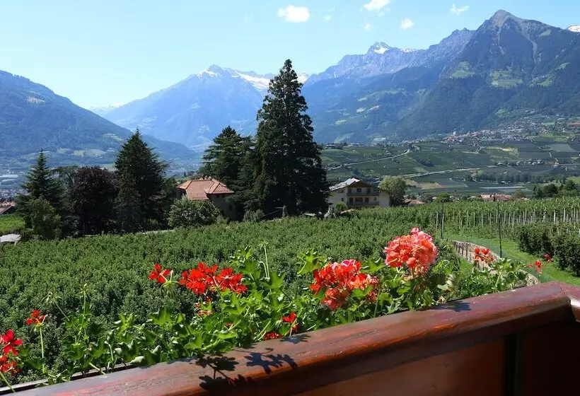 هتل Guesthouse Pension Grafenstein