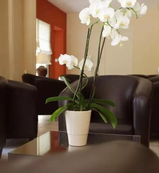 Hotel Hôtel Des Roches   Climatisation