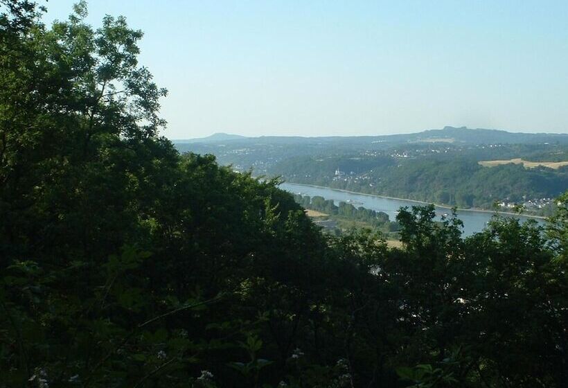 Отель Niederée