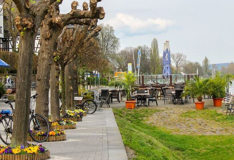 Отель Niederée