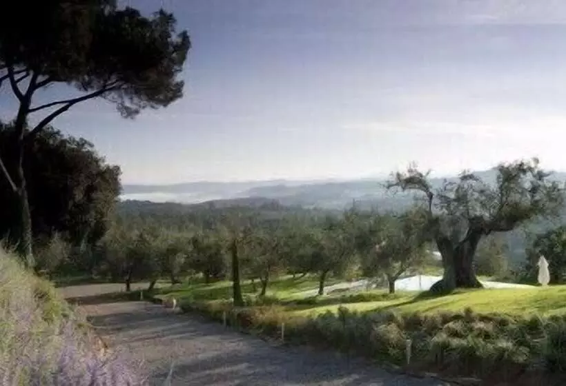 膳宿费 Poggio Piglia