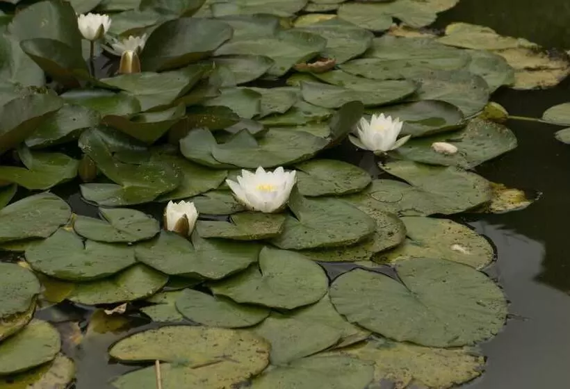 צימר Haus Am Wasserfall