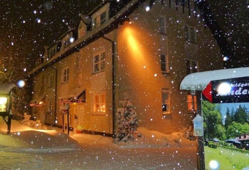 هتل 4 Sterne Apartmenthaus Glück Auf