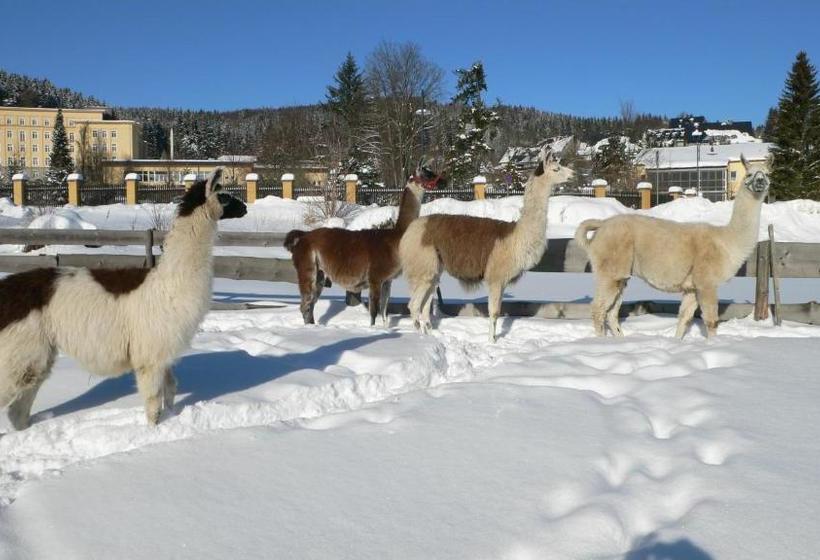 호텔 Alte Schleiferei