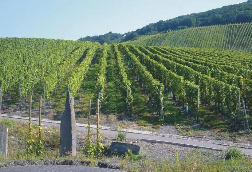 Hotel Christiana S Wein & Art