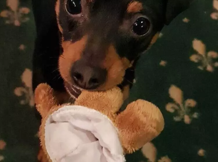 호텔 Glück Auf & Bürgerkeller