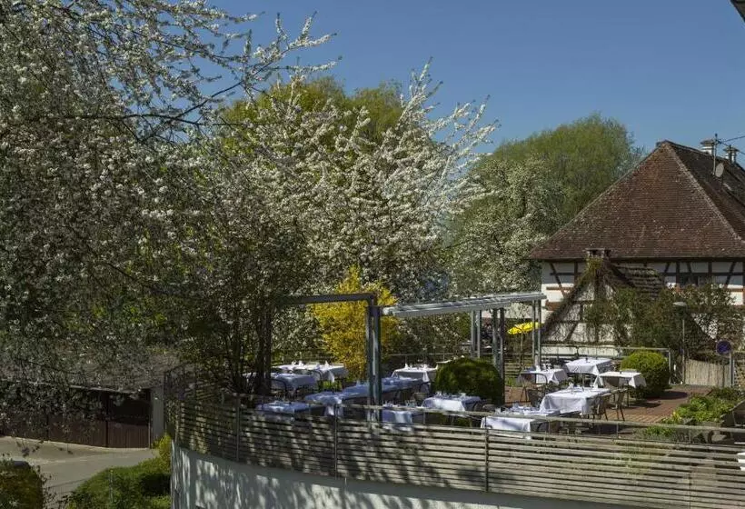 Отель Pilgerhof Und Rebmannshof