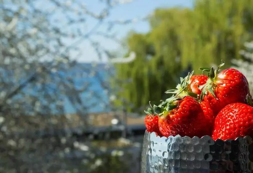 Отель Pilgerhof Und Rebmannshof