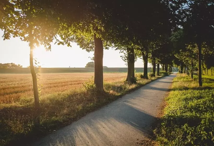 Отель & Restaurant Zum Vater Rhein