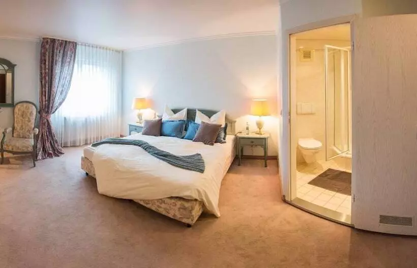 Отель & Restaurant Zum Vater Rhein