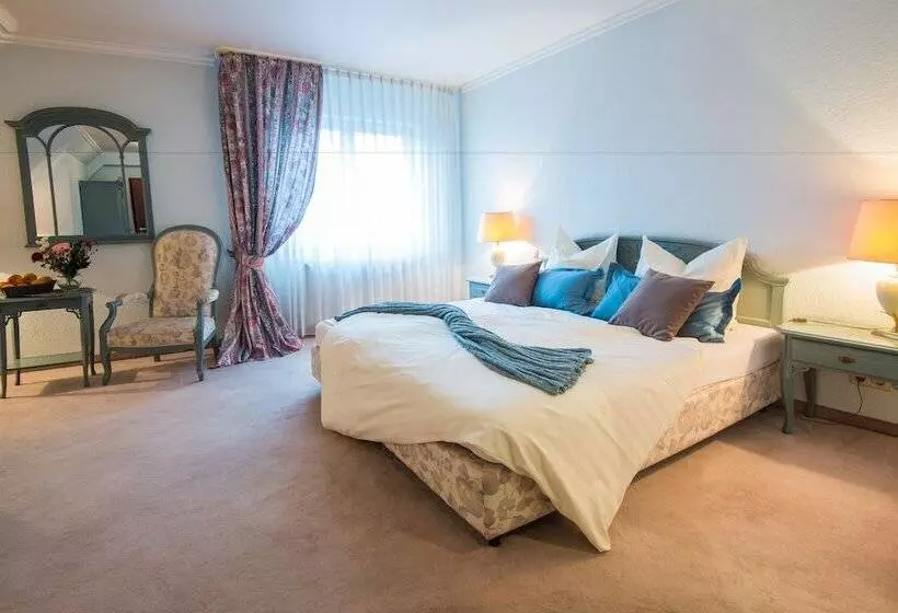 Отель & Restaurant Zum Vater Rhein