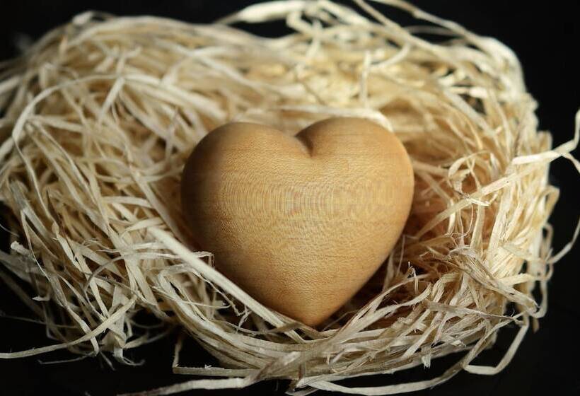 فندق Teddybären