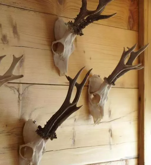 膳宿费 Gasthof Neuwirt Unterföhring