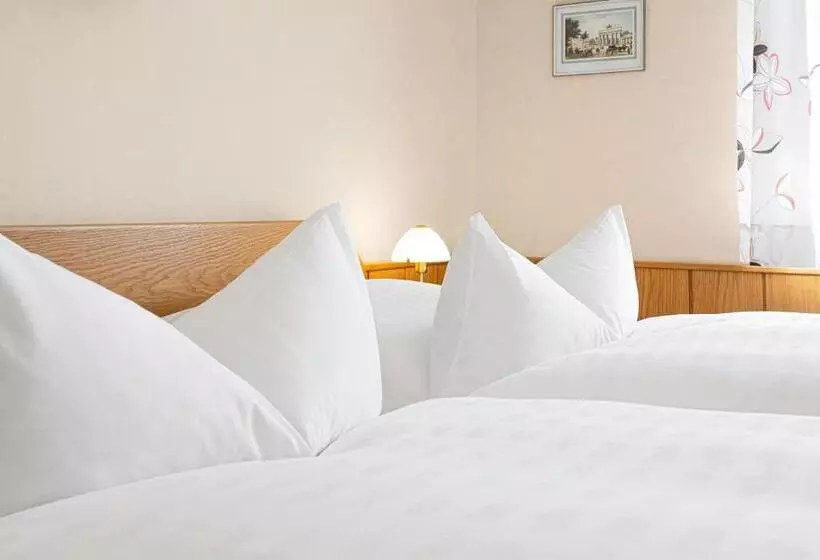 بنسيون Gästehaus Prinzregent Luitpold