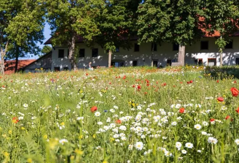 Pensió Landgasthof Kreuz