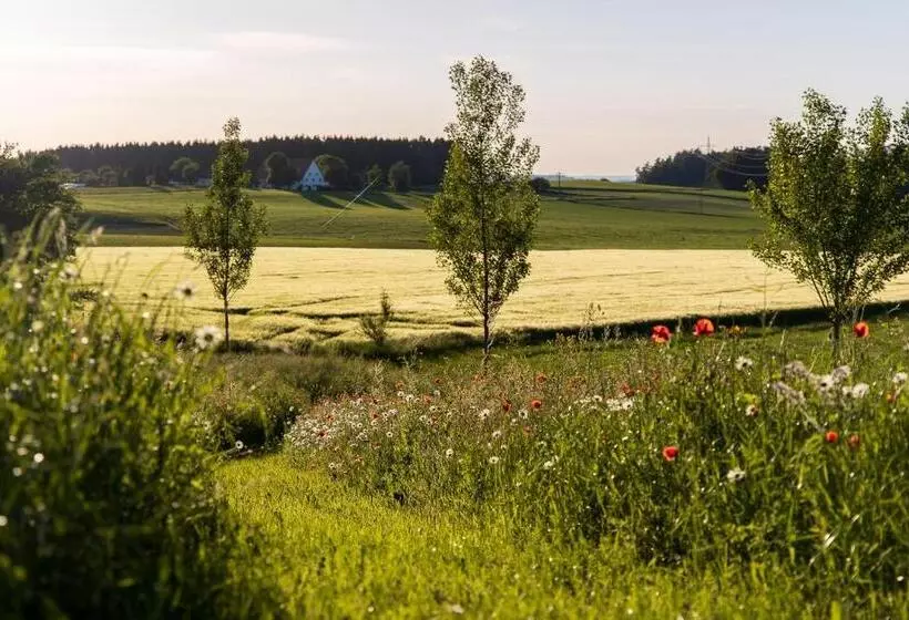 Pensió Landgasthof Kreuz