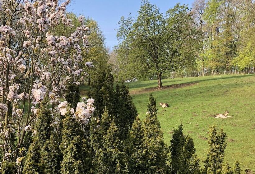 Waldhotel Felsenkeller