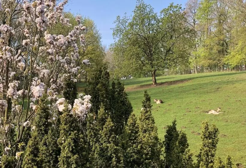 Waldhotel Felsenkeller