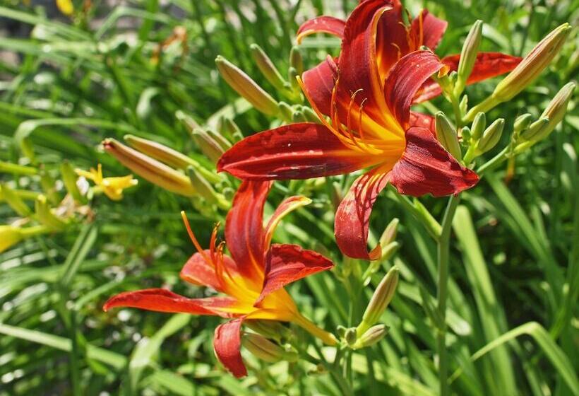 Waldhotel Felsenkeller