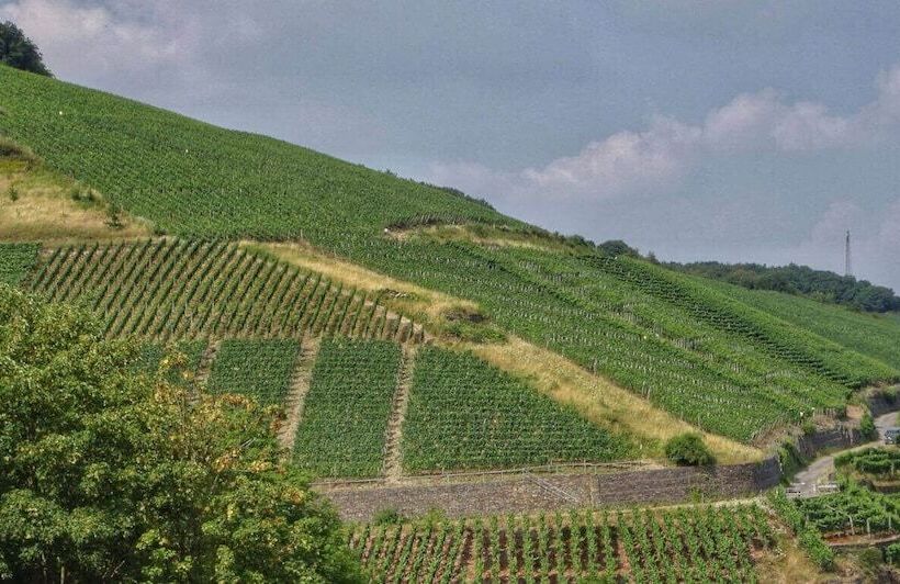 Ahrpart Hotel Central